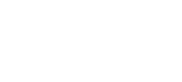 Brigitta Schmidt Heilpraxis Logo